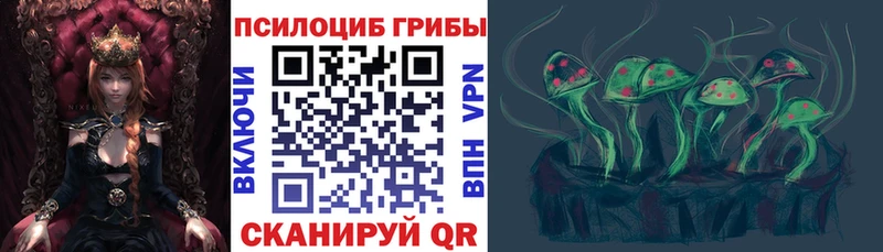 Галлюциногенные грибы Cubensis Сольвычегодск