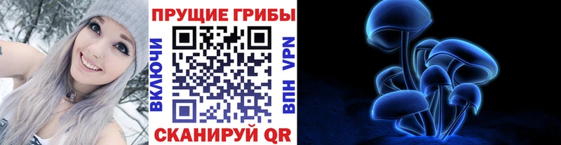 Галлюциногенные грибы Psilocybe  купить  сайты  Сольвычегодск 